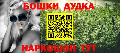 мяу мяу мука Малгобек