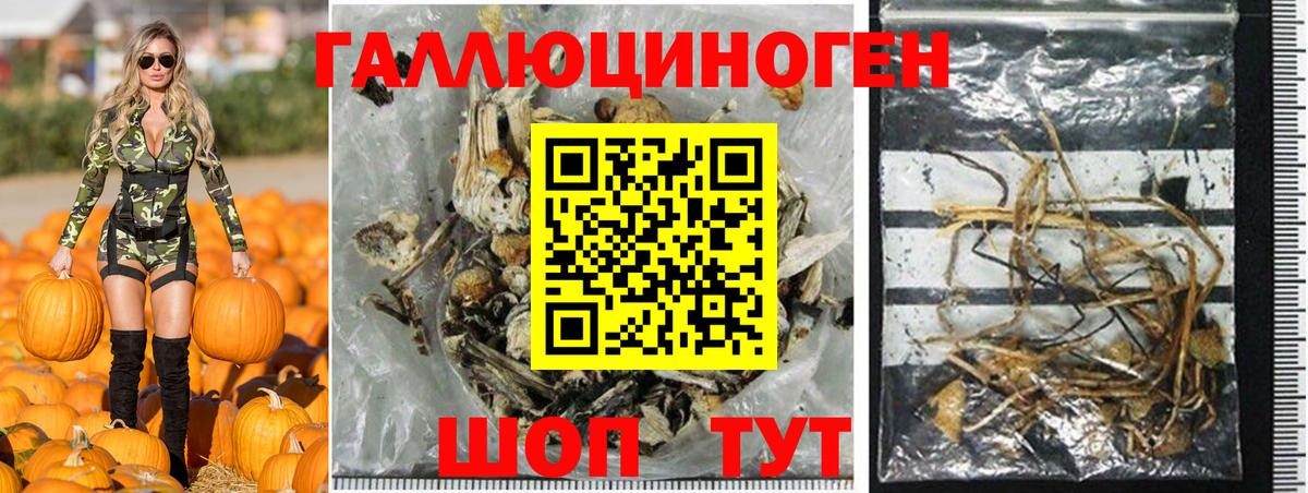 Псилоцибиновые грибы Cubensis Домодедово