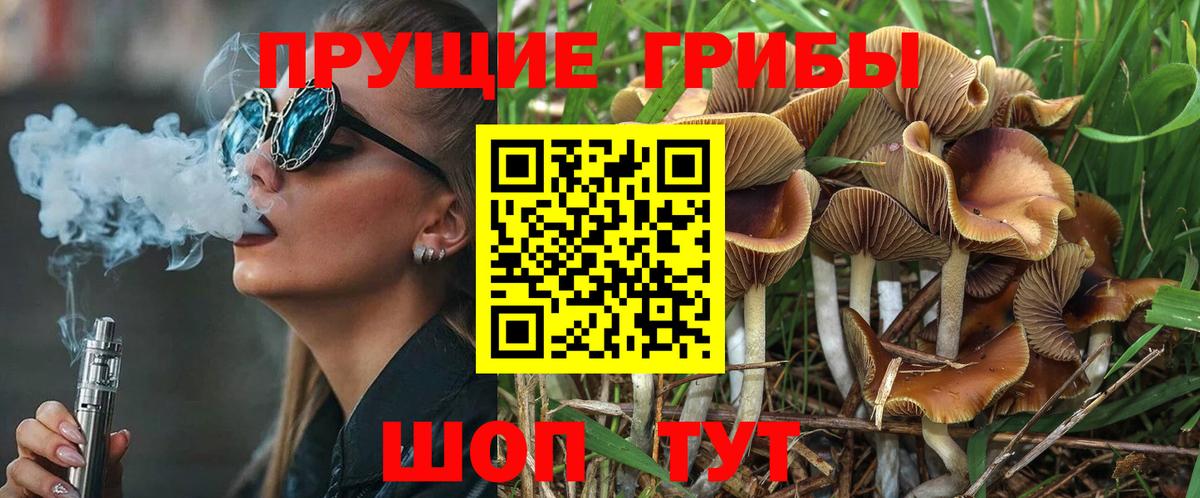 Галлюциногенные грибы MAGIC MUSHROOMS  Псилоцибиновые грибы MAGIC MUSHROOMS  Домодедово  продажа наркотиков  Вход с VPN 